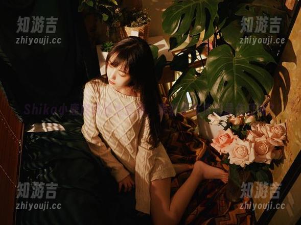 Shika小鹿鹿肉丝大合集，果然是吃货的最佳口味？