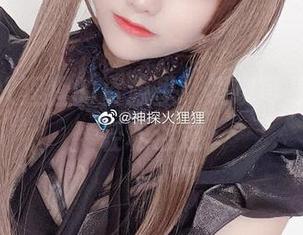 在神探火狸狸的资源里，发现可畏也可以轻松渡过