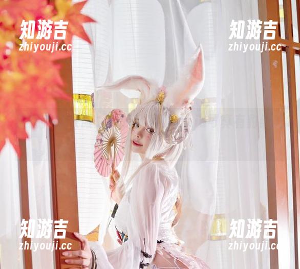 这图库减衣服之后的阿寨寨ninja可真有豹纹的活力！